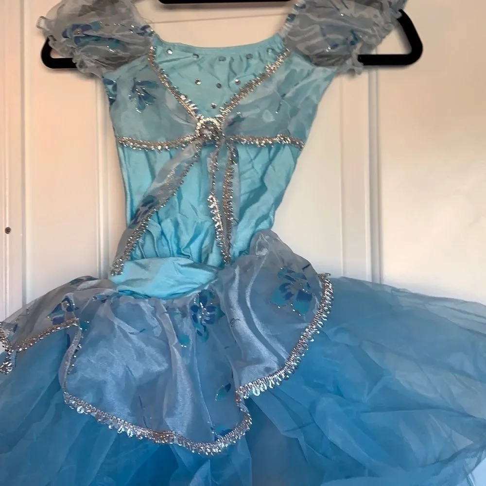 Blue and silver leotard and tulle ballet princess skirt child small halloween